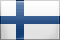 Finnish Flag image
