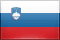 Slovenian Flag image